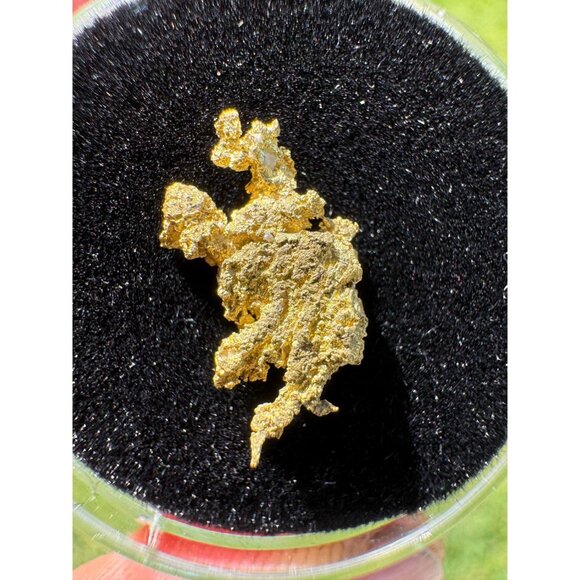 California Native Gold Crystal - 0.77 grams - Picture 5 of 5